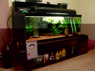 90cm水槽と上部フィルターと照明セット上部フィルター - 魚用品・水草