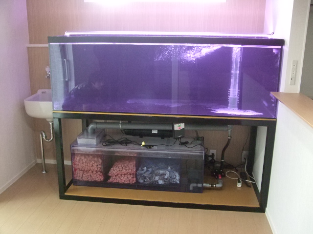 アクアランドはなばた | 福島県いわき市の熱帯魚屋 / 【150×90×60cm】天板くりぬき仕様オーバーフロー水槽＆特注水槽台（60角パイプ）