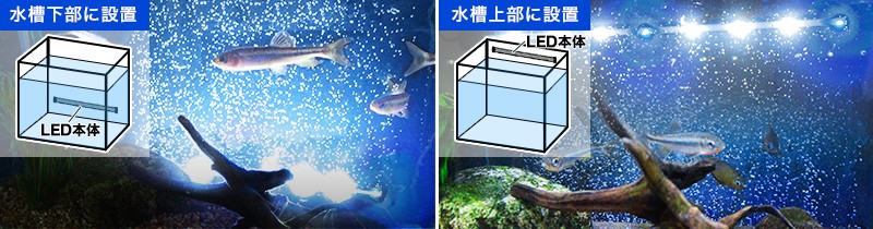 ゼンスイ アンダーウォーター LEDスリム ディープブルー 30cm www